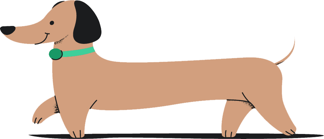 Cachorro Salsicha